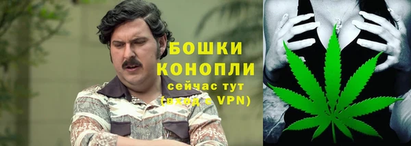трава Зерноград