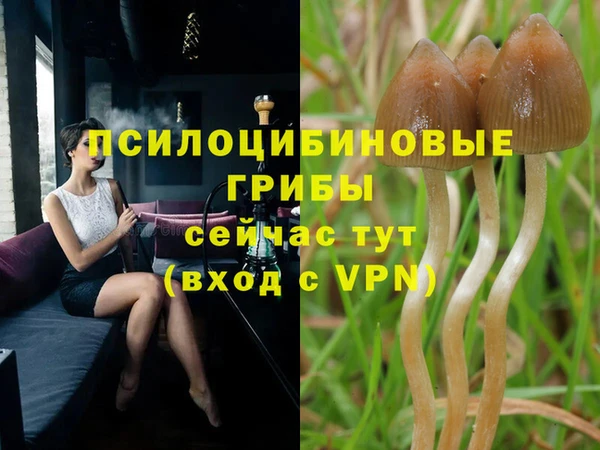трава Зерноград