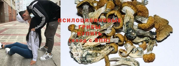 тгк Заволжск