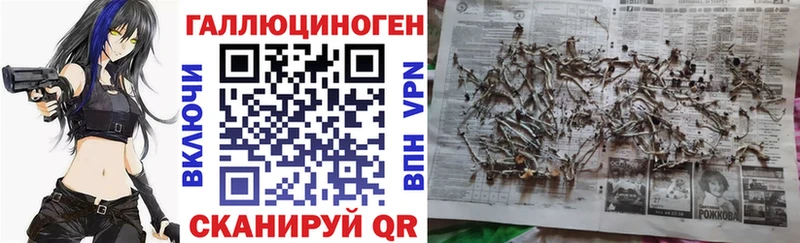 дарнет шоп  Новохопёрск  Псилоцибиновые грибы Magic Shrooms 